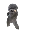 🫵