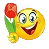 🌹
