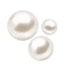 🐚