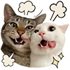 😜