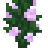🌷