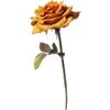 🌹