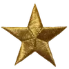 🌟
