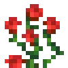 🌷