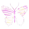 🦋