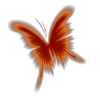 🦋