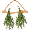 🌿