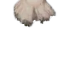🪽