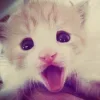 😮