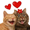 👩‍❤️‍👨