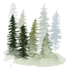 🌲