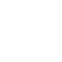 🔒