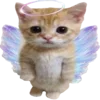 🐈