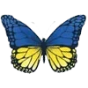 🦋