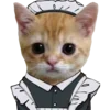🐈