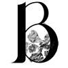 🐊