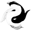 ☯️