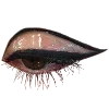 👁️