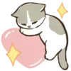 🐱