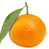 🍊