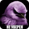 🐦