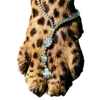 🐆