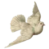 🕊️