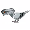 🦅