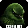 🐦