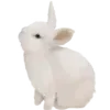 🐰