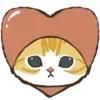 🐱