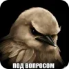 🐦
