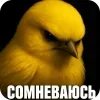 🐦