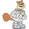 🐿