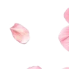 ⭐