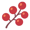 🍓
