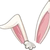 👂