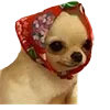 🫥
