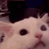 🤬