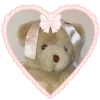 🐻
