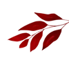 💋
