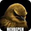 🐦