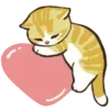 🐱