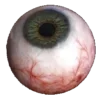 👁️