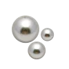 🐚