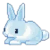 🐰