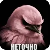 🐦
