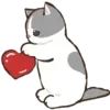 🐱