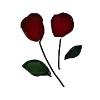 🌹