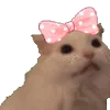 🎀
